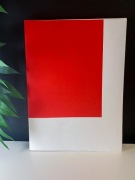 Rewizje / How to Rejuvenate an Eagle Dyba and Lach - album foto