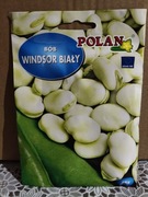 Bób "Windsor Biały"