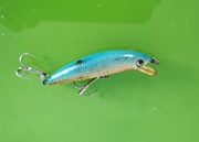 Wobler Strike na drapeżnika. Sprawdzony Kiler ok.5,5cm 4