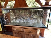 Akwarium 500 l z pełnym wyposażeniem 