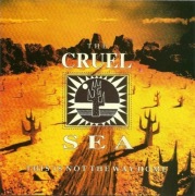 Cruel Sea CD This Is Not The Way Home  indie legenda   ideał