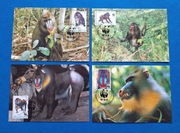 Zestaw 4 szt. widokówka widokówki WWF Guinea mandryl
