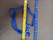 Smycz i szelki dla psiaka