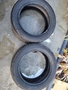 Opony zimowe firmy Nokian