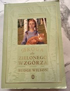 Droga do Zielonego Wzgórza - Budge Wilson