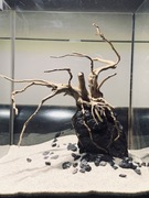 Aranżacja do akwarium nano korzeń red Moor Wood 