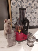 Wyciskarka wolnoobrotowa Kalorik