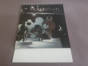 SKALDOWIE-Kalendarz 2011 ze Zdjęciami Faktami + 6 Fotek
