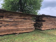 Deski Dębowe , Tarcica Dębowa, Dąb