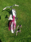 Rower Panda ARKUS-ROMET