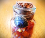 Bursztyn w butelce Niespotykana pamiątka z dawnych wakacji Super okazja