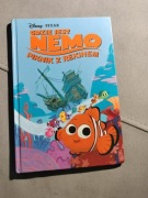 Gdzie jest Nemo, piknik z rekinem