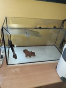 Akwarium z półką i grzałka.