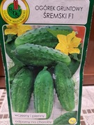 Ogórek gruntowy 'Śremski F1' nasiona