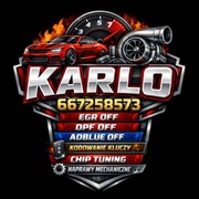 Elektronika samochodowa DPF EGR adBlue Immo 