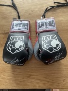 Rękawice z walki Szpilka - Mollo