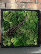 Obraz z mchu i roślin stabilizowanych 