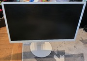 Monitor Fujitsu B24-8 TE Pro 23,8'