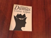 Czarny tulipan Aleksander Dumas