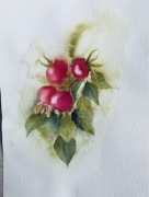 Obraz Akwarela dzika róża oryginał hand made 