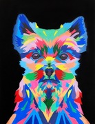 Obraz abstrakcja yorkshire terrier