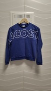 Bluza Lacoste r. 152 cm 12 lat