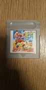 Gra Nintendo Game Boy Oryginał Sports Collection Unikat