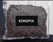 KONOPIA 1 KG GOTOWA ZANĘTA 