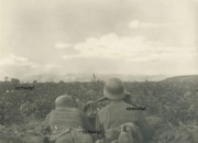 Zdjęcie żołnierze Wehrmachtu sekcja MG w akcji Front Wschodni 1942
