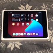 iPad mini 4 32 GB