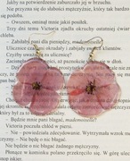 Kolczyki maki suszone kwiaty 