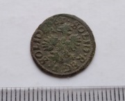 SZELĄG BORATYNKA PRZEBITKA 1663 SUPER CIEKAWA -SOLID SOLID REX REX