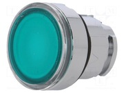 Schneider Główka przycisku zielona ZB4BW333