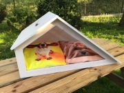 Niezwykły, przytulny i naturalny domek