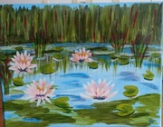 Obraz nenufary, lilie wodne