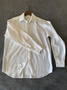 Koszula męska bawełniana Caruso’s oryginalna