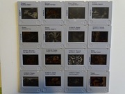 Slajdy 16 szt obrazy z jakiegoś muzeum MALARSTWO min Picasso Guernica nr. 8