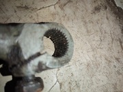 Wfm WSK shl starter kopnik