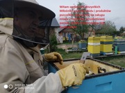 Miód różne smaki: rzepak,wielokwiat,fasolowy