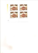 Fischer:2671 w czwórce z błędem B1,czyste