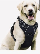 Szelki Guard Rabbitgoo dla psa L