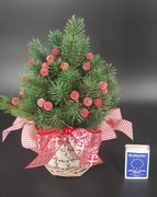Stroik świąteczny choinka w doniczce