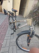 Rower 24 całe Author 