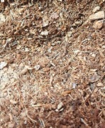 Torf kokosowy 1Litr Podłoże do mrówek na arenę 