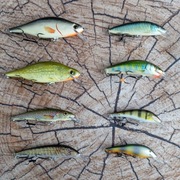 Zestaw 8 woblerów na szczupaka Dorado, Bonito, Hegemon