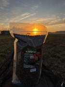 Mix peletów KarpR 2mm 1KG