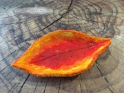 Podstawka na biżuterię 