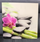 Obraz na szkle 30x30 orchidea 