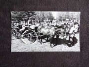 PRESS FOTO: KONIE POWÓZ BRYCZKA