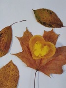 Mydełka glicerynowe wanilia,ręcznie robione -2 szt